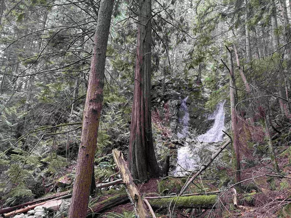North Vancouver, BC V7G 2H7,Lot 15 Indian River DR