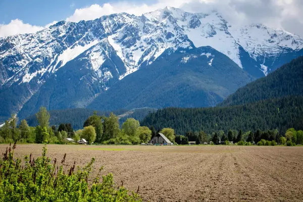 Pemberton, BC V0N 2L2,7631 Pemberton Meadows RD