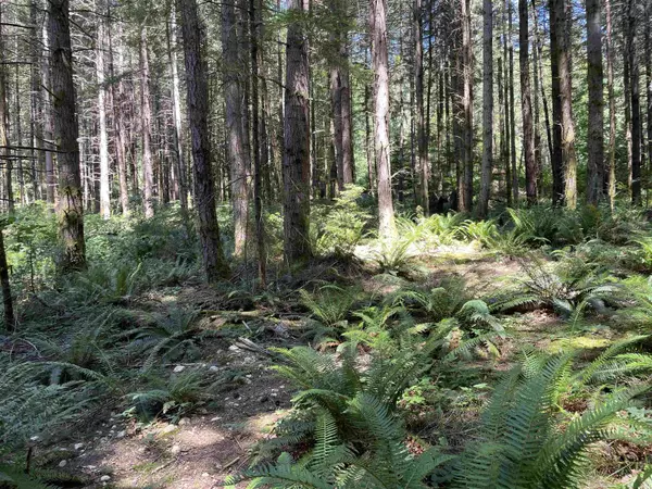 Roberts Creek, BC V0N 2W5,Lot 1&E Firburn RD