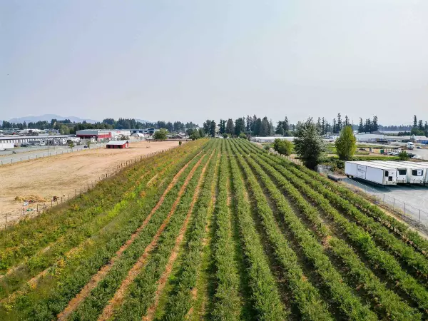 Abbotsford, BC V2T 6E2,1963 Townline RD