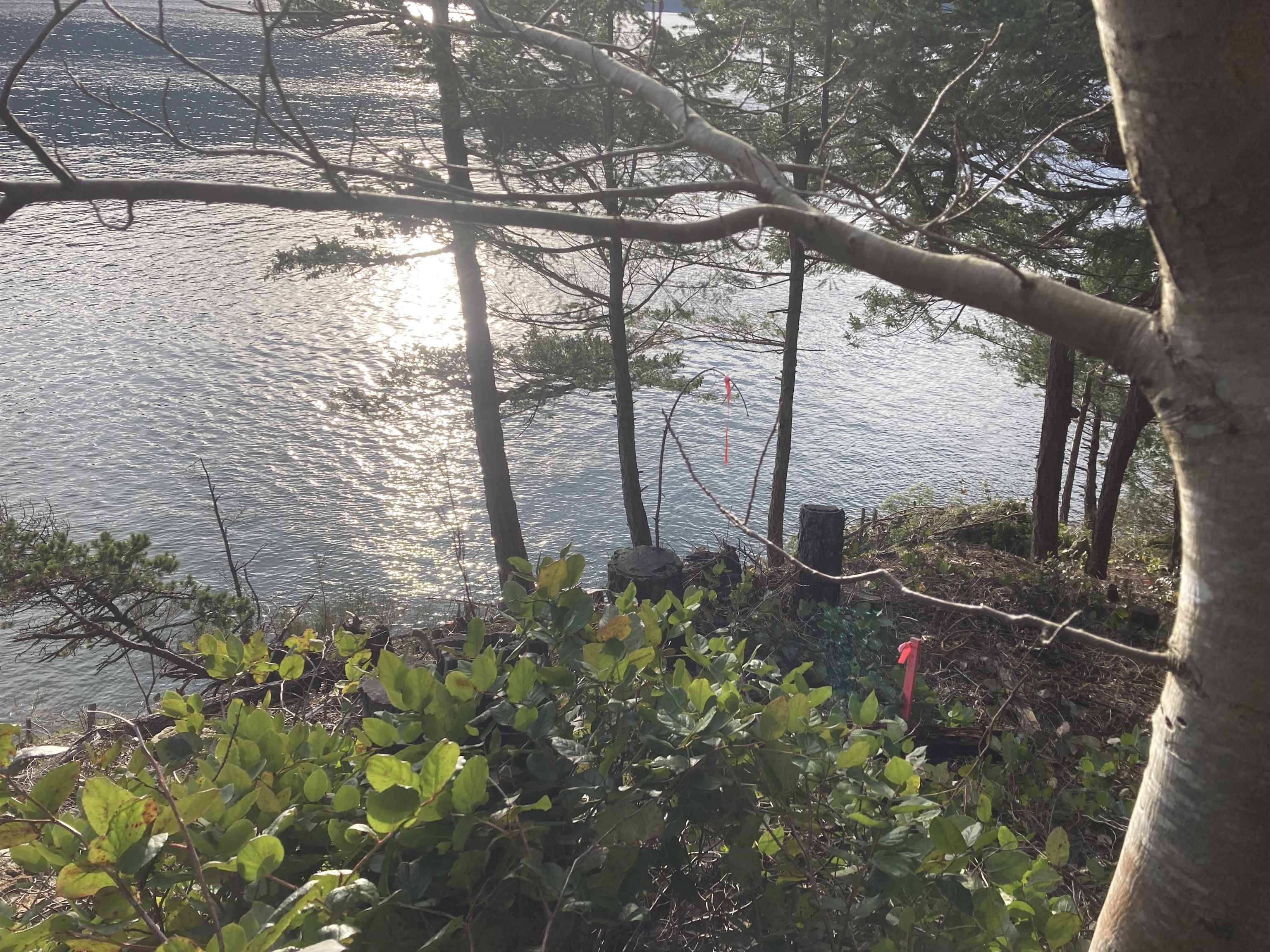 LOT 9 Collingwood RD Keats Island, BC V0N 1V0