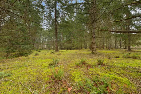 Mayne Island, BC V0N 2J2,281 Merryman DR