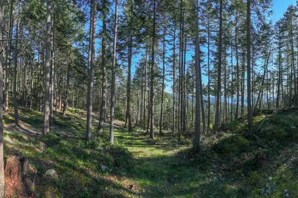 Lot 6 Arbutus RDG #PH 3, Bowen Island, BC V0N 1G2