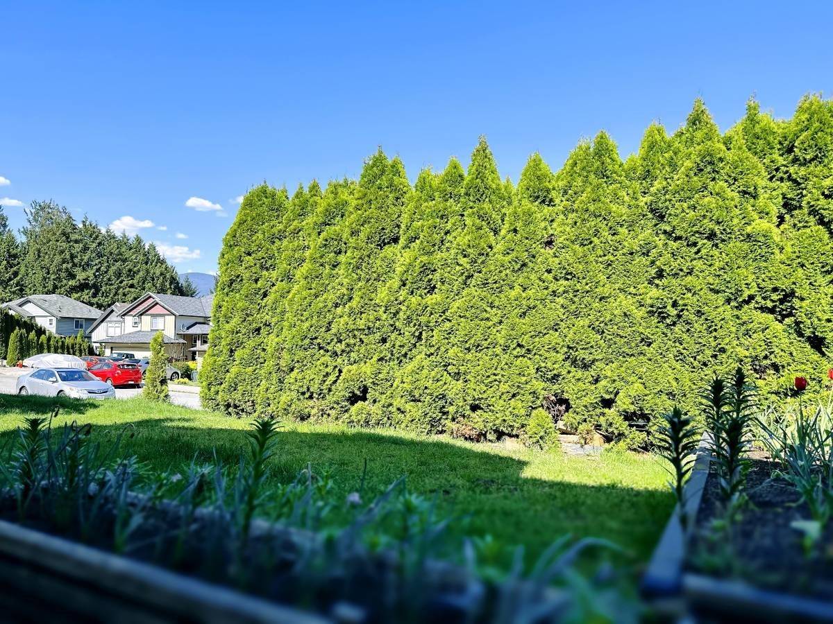 Coquitlam, BC V3C 5M1,958 Laurel CT #Ground