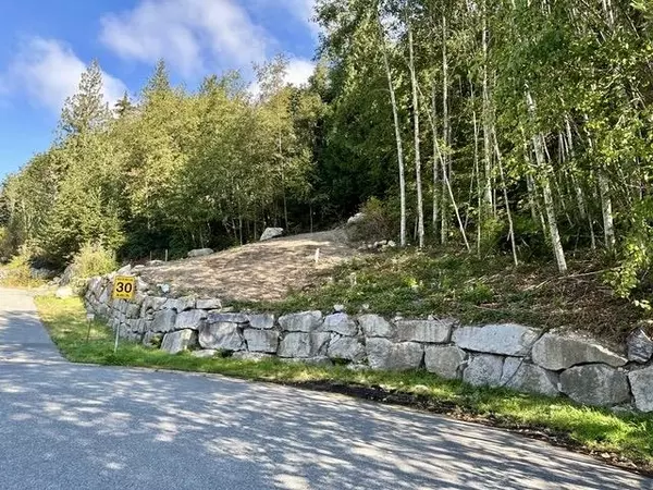 Britannia Beach, BC V8B 1J2,1010 Quarry LN