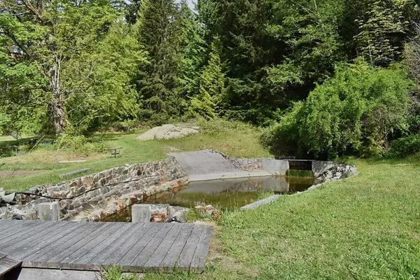 Halfmoon Bay, BC V7Z 1G9,5768 Sutherland RD
