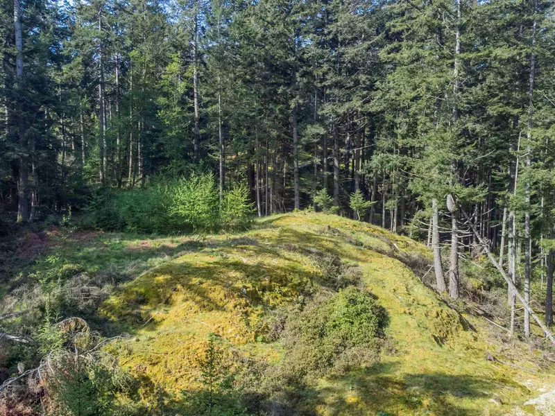 2070 Cape DR, Bowen Island, BC V0N 1G2