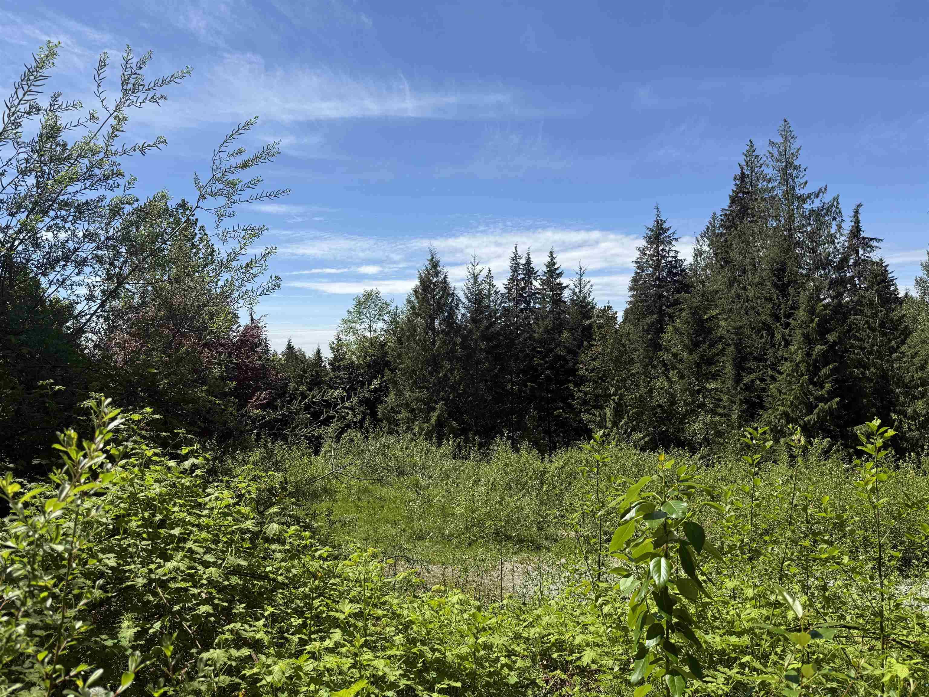 Maple Ridge, BC V2W 1C2,12305 270 ST