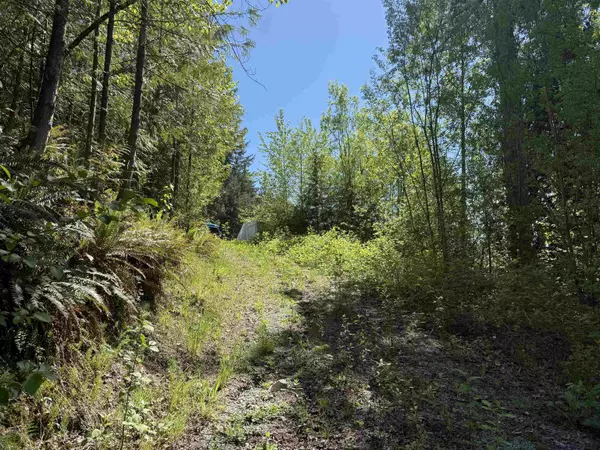 Maple Ridge, BC V2W 1C2,12305 270 ST