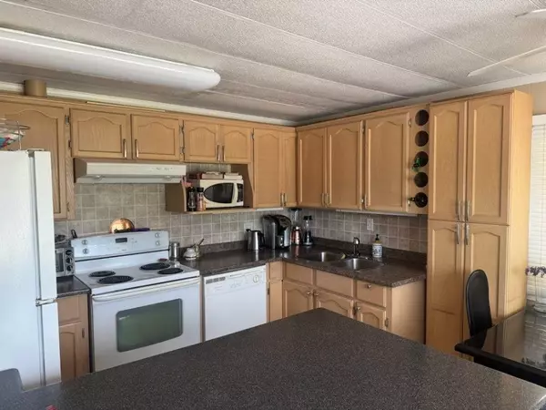 Coquitlam, BC V3K 5A9,201 Cayer ST #251