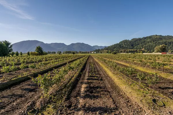 Sardis - Greendale, BC V2R 4J4,42505 Yale RD