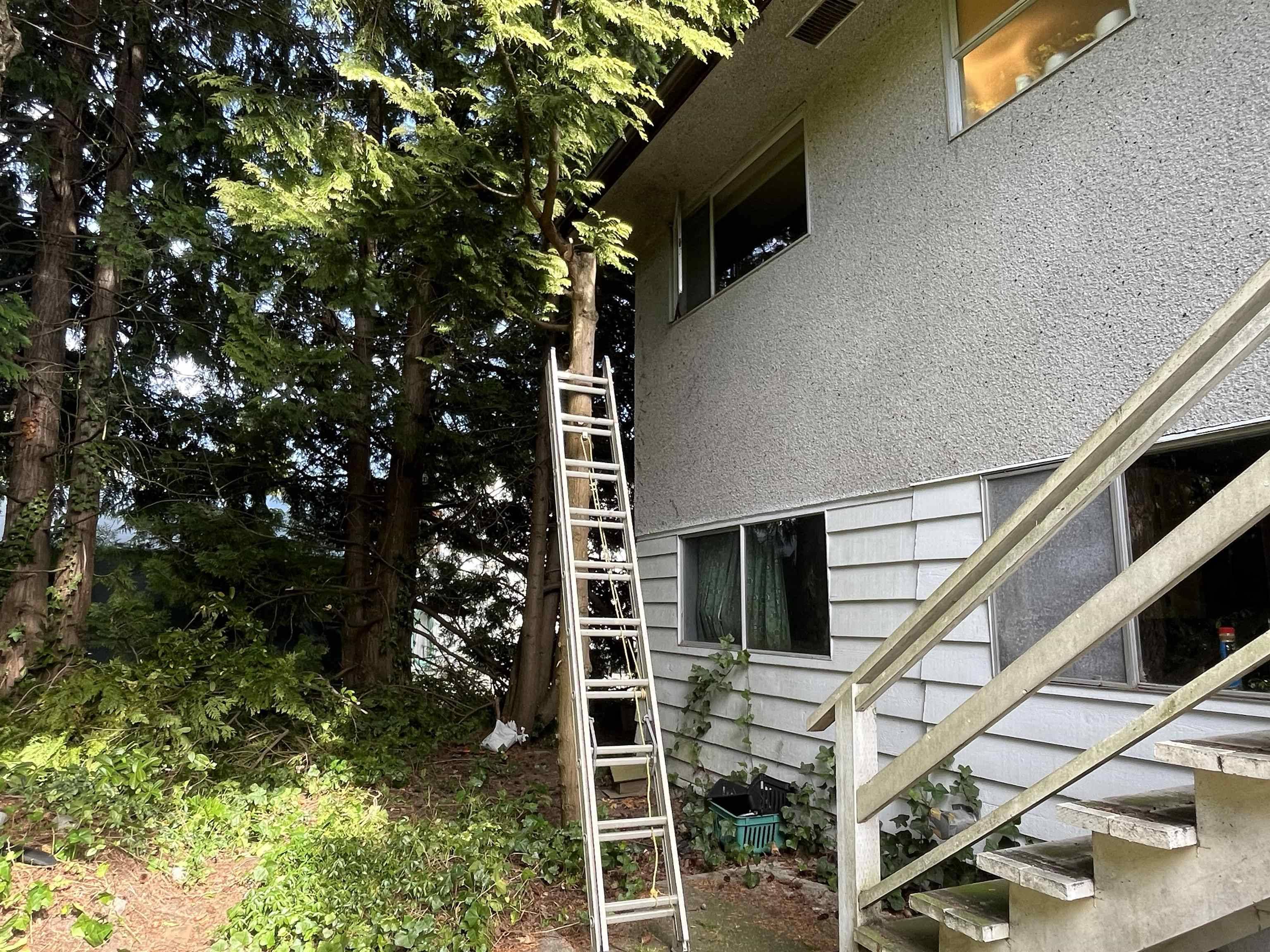 Richmond, BC V7E 1J5,3791 Williams RD