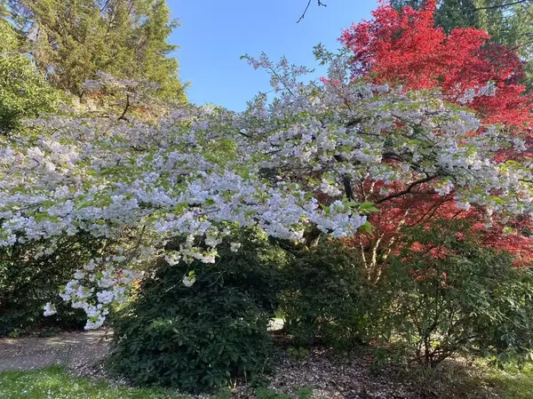 Surrey, BC V3Z 0E6,17327 26a AVE