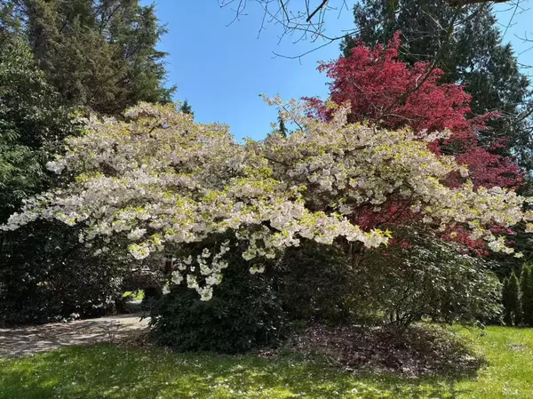 Surrey, BC V3Z 0E6,17327 26a AVE