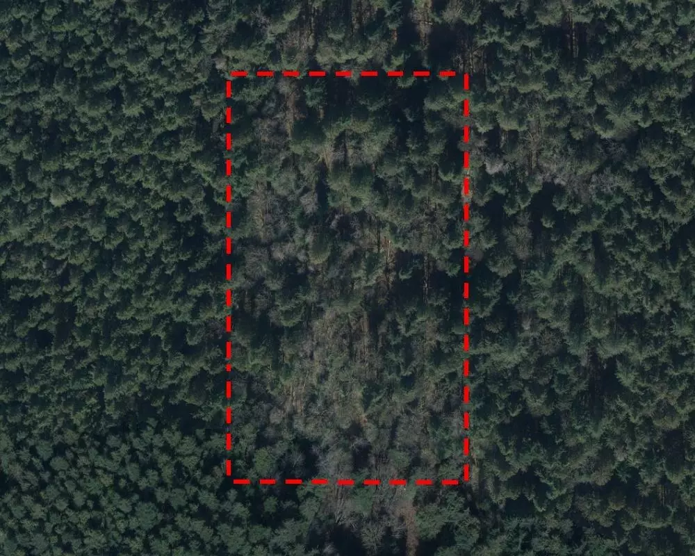 Maple Ridge, BC V0V 0V0,23900 138 AVE