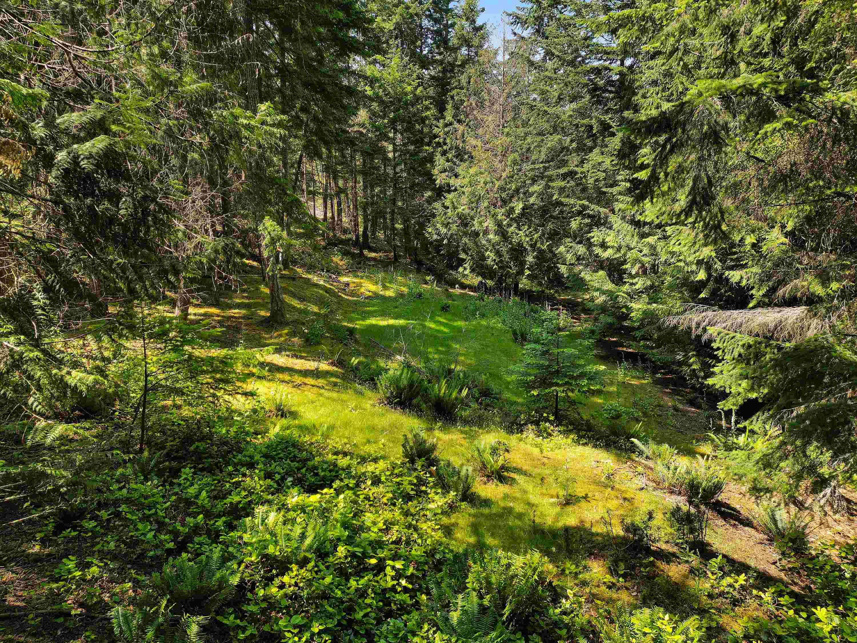 Mayne Island, BC V0N 2J1,570 Aya Reach RD