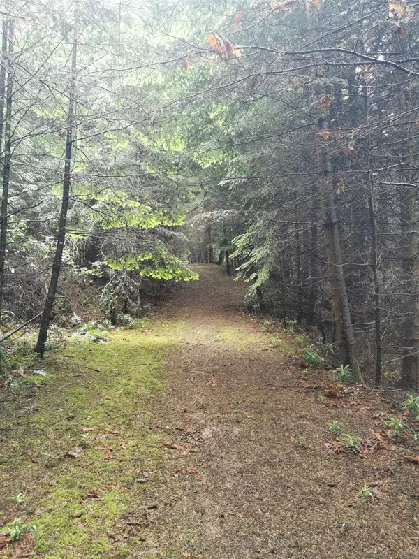 706 Fernhill RD Mayne Island, BC V0N 2J1