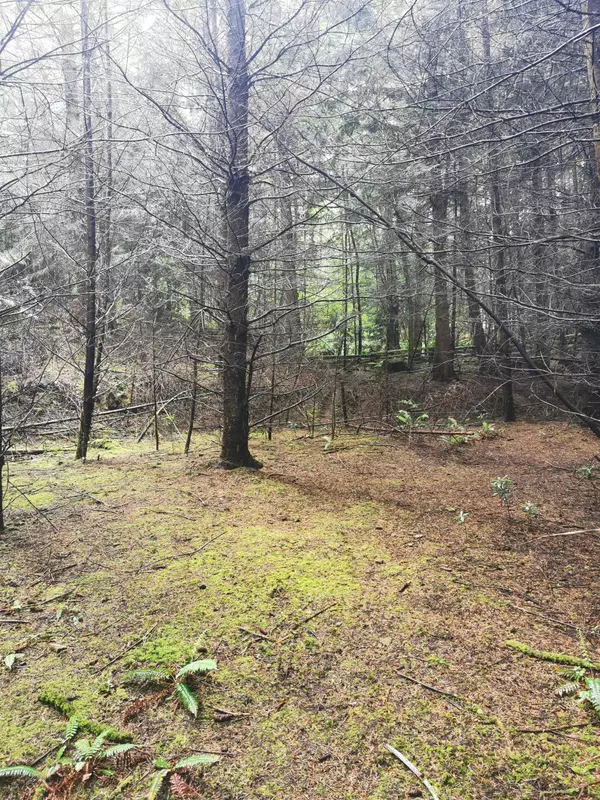 706 Fernhill RD Mayne Island, BC V0N 2J1