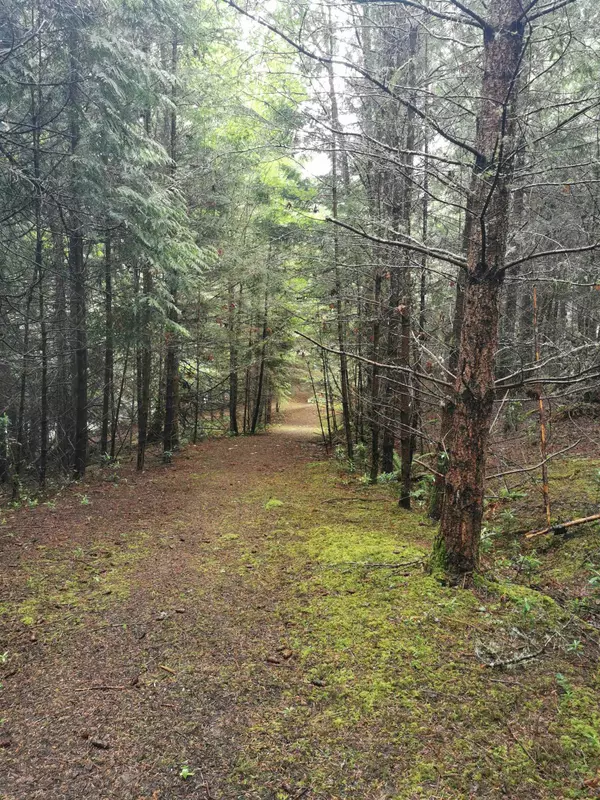 706 Fernhill RD Mayne Island, BC V0N 2J1