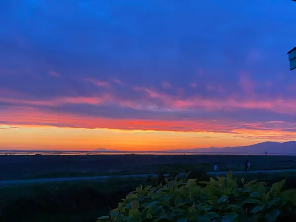 Richmond, BC V7C 5V9,3088 Francis RD #9