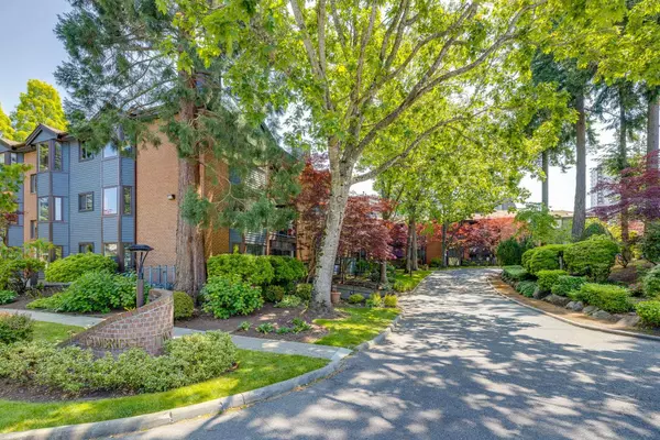 Surrey, BC V4A 8Y6,15300 17 AVE #317