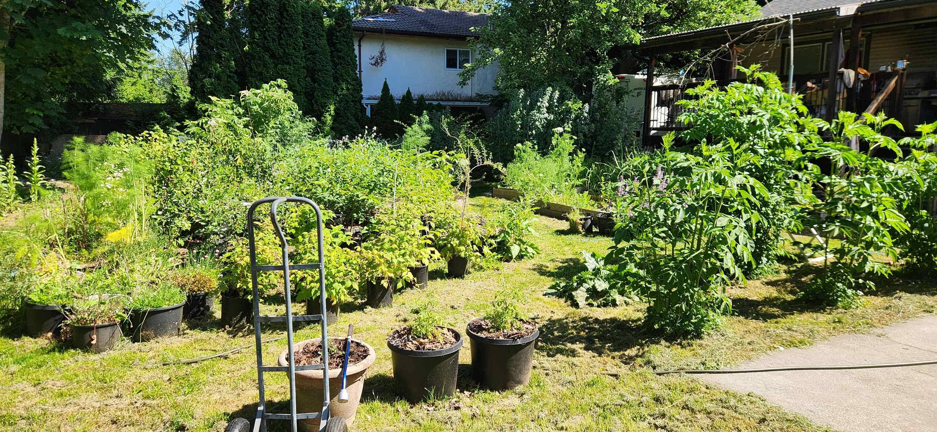 Delta, BC V4C 4G2,8631 Brooke RD