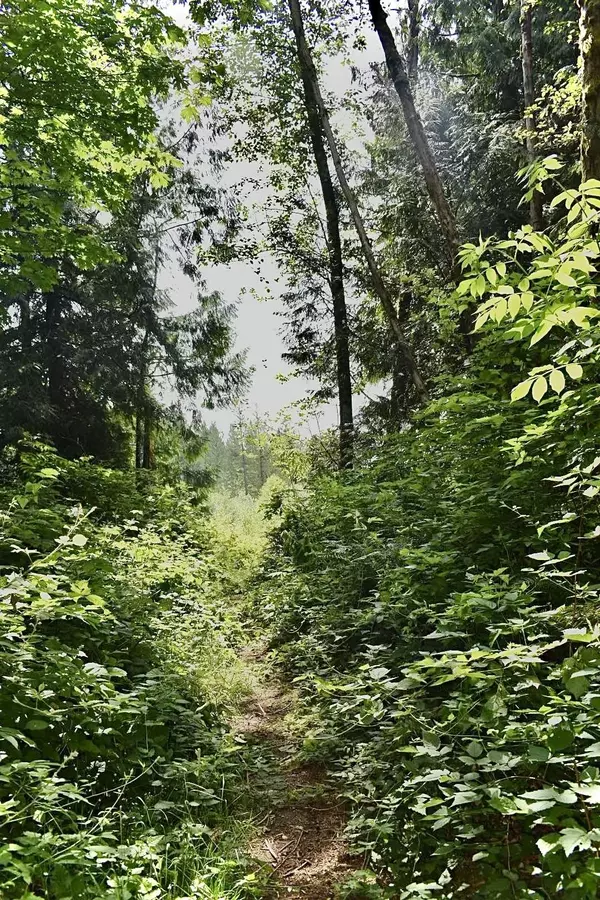 Gibsons, BC V0N 1V9,Lot 6 West Reed RD