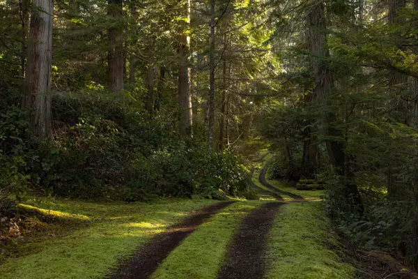 B Turnagain IS Halfmoon Bay, BC V7Z 1B7