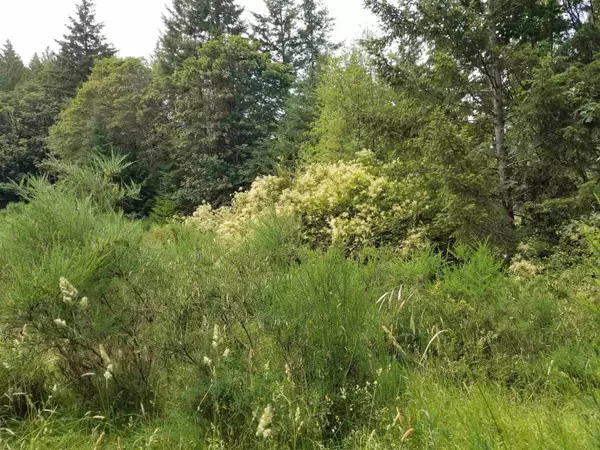 Galiano Island, BC V0N 1P0,LOT A Lord RD