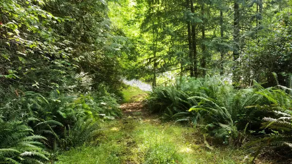 4620 Irvines Landing RD Garden Bay, BC V0N 1S1