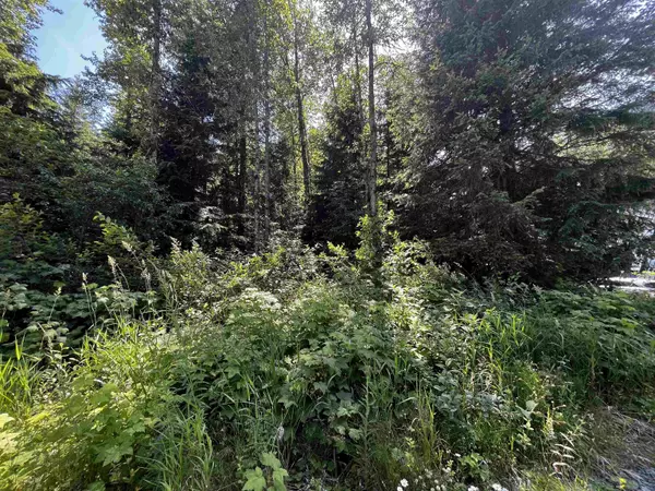 Sunshine Valley, BC V0X 1L5,70901 Old Hope Princeton HWY