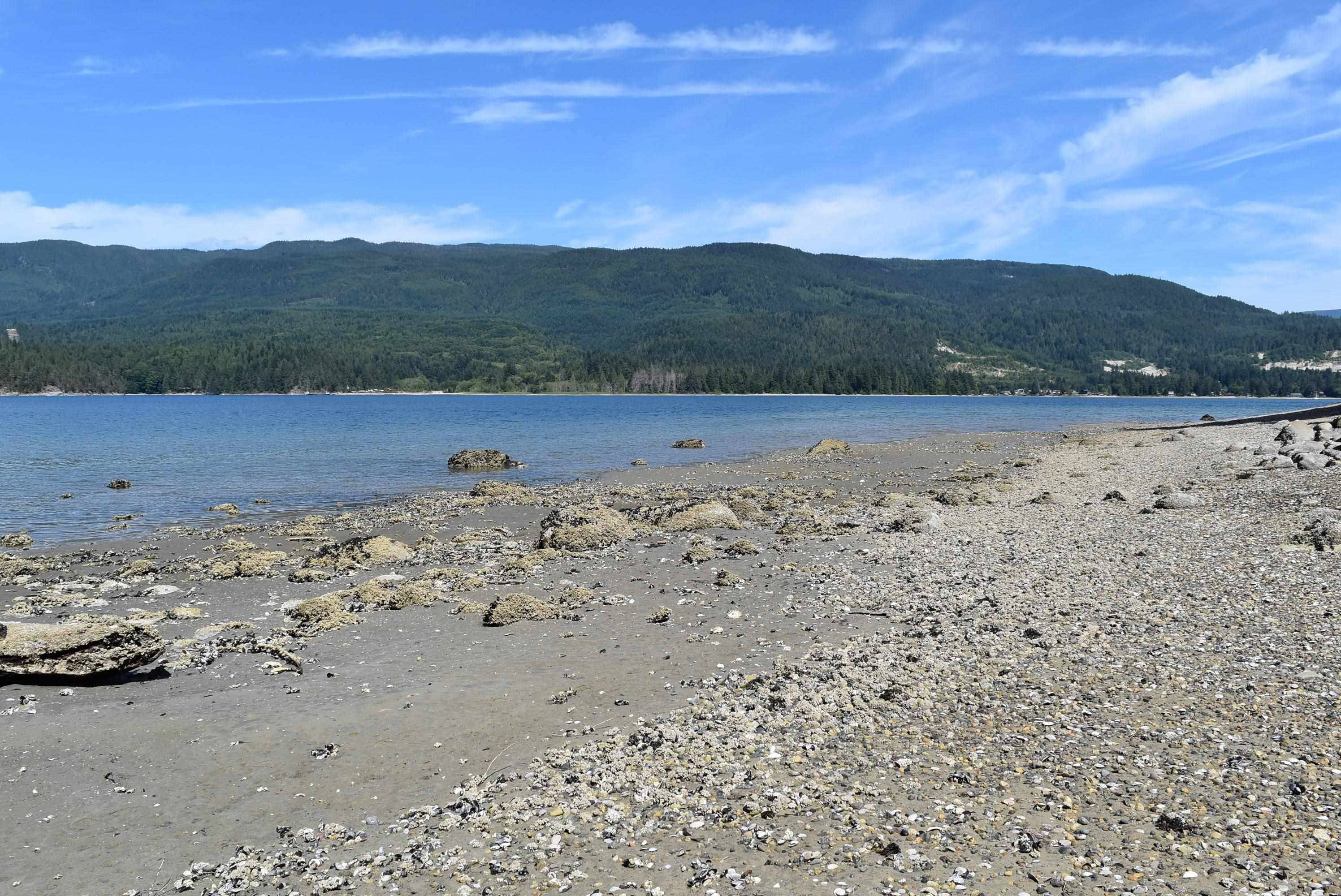Sechelt, BC V7Z 0E1,LOT 18 N Gale AVE