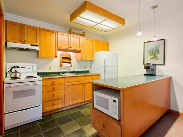 Whistler, BC V8E 0A9,2020 Watson WAY #1