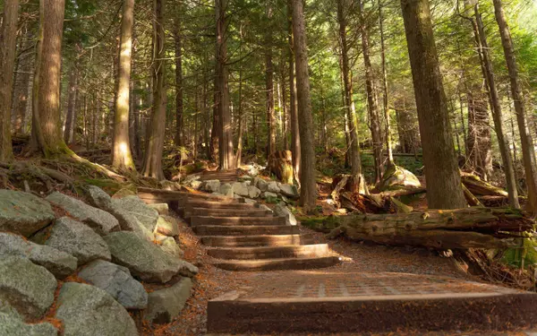 1365 Victoria ST #601 Squamish, BC V8B 0C3