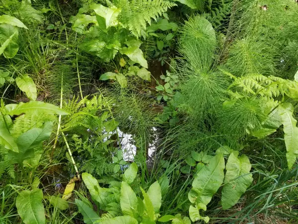 Galiano Island, BC V0N 1P0,DL66 Porlier Pass RD #LOT 1