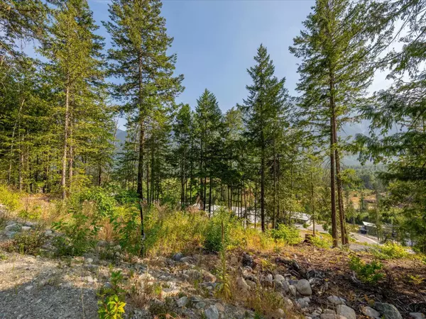 8206 Merlot Peak DR Pemberton, BC V0N 2L3