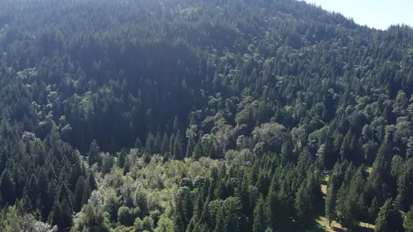 12999 Stave Lake RD Mission, BC V2V 0A7