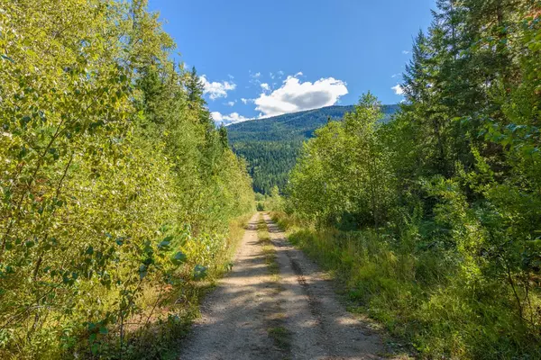 No City Value, BC V0E 1M7,LOT 6 Anstey Arm #LOT A &