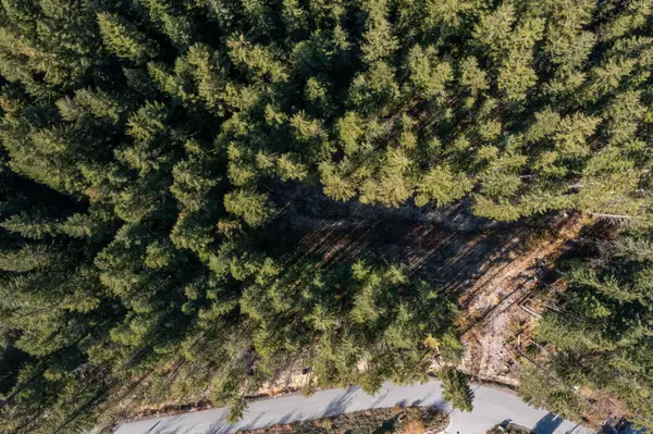 8622 Maelle Ricker LN Whistler, BC V8E 1L9