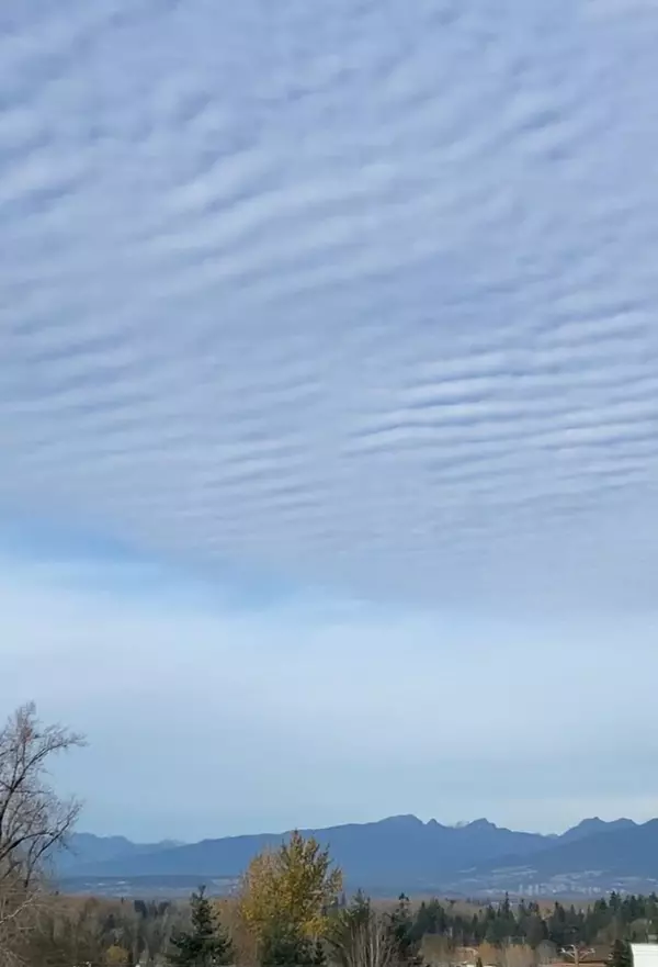 Langley, BC V2Y 2A7,20049 82 AVE #512