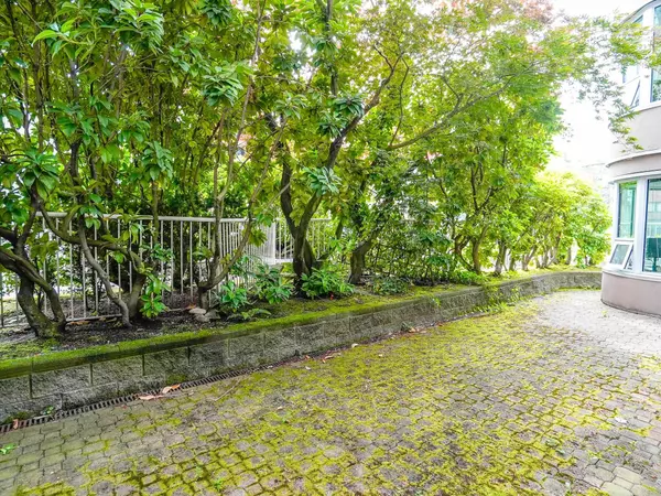 Vancouver, BC V6G 1E4,1845 Robson ST #101