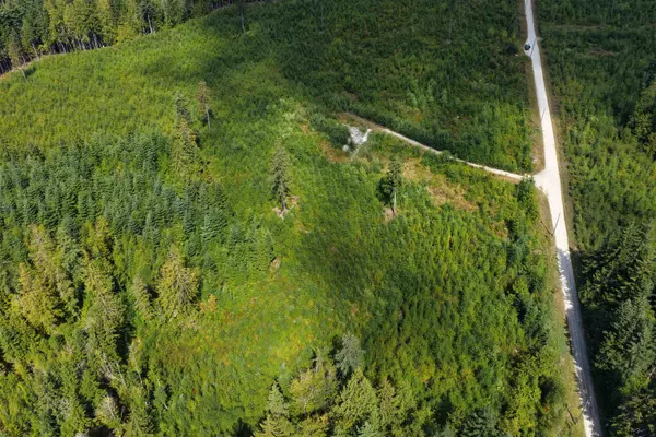 Block B Lockyer Road Roberts Creek, BC V0N 2W1