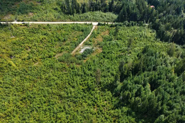 Block B Lockyer Road Roberts Creek, BC V0N 2W1