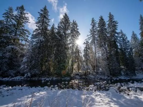 North Vancouver, BC V7J 2J8,950 Seymour BLVD