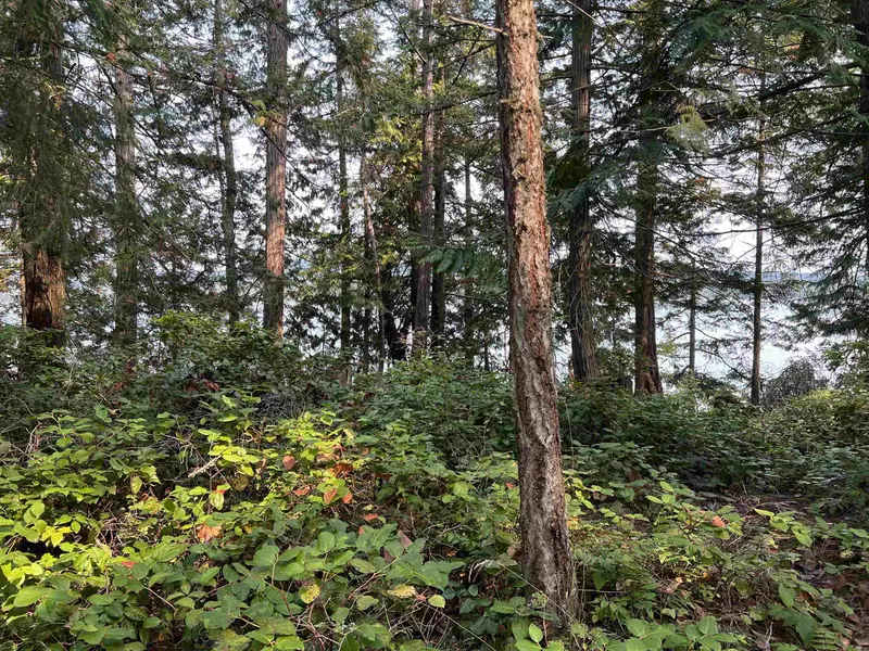 North End RD #LOT 2, Salt Spring Island, BC V0V 0V0