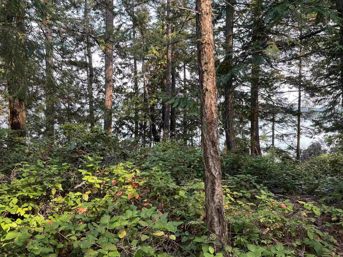 Salt Spring Island, BC V0V 0V0,North End RD #LOT 2