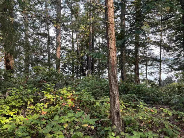 North End RD #LOT 2, Salt Spring Island, BC V0V 0V0