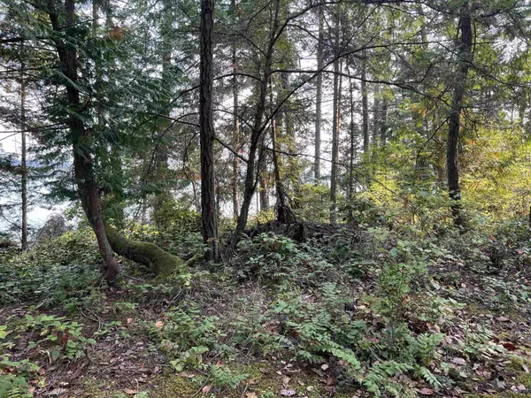 Salt Spring Island, BC V0V 0V0,North End RD #LOT 2