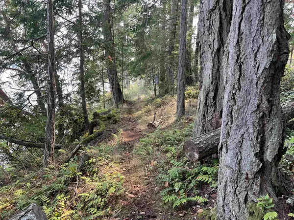 Salt Spring Island, BC V0V 0V0,North End RD #LOT 2