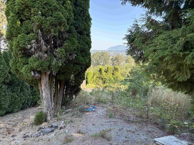 13993 116 AVE, Surrey, BC V3R 2T3